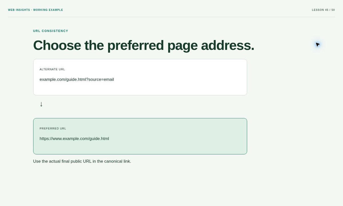 Example preview: How to Add a Canonical URL to a Website Page